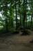 dsc05655_small.jpg