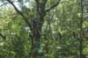 dsc05662_small.jpg