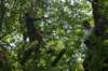 dsc05664_small.jpg
